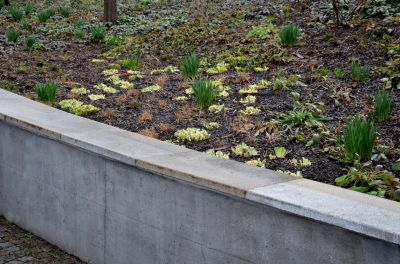 Retaining Walls and More